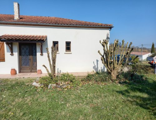 Elagage d’arbre à Orange, 84100 dans le Vaucluse