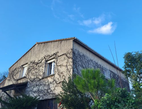 Enlèvement des vignes vierges sur façades à Connaux 30330 dans le Gard